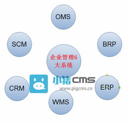 CRM ERP OMS WMS SCM BRP,电商企业需知的6大管理系统
